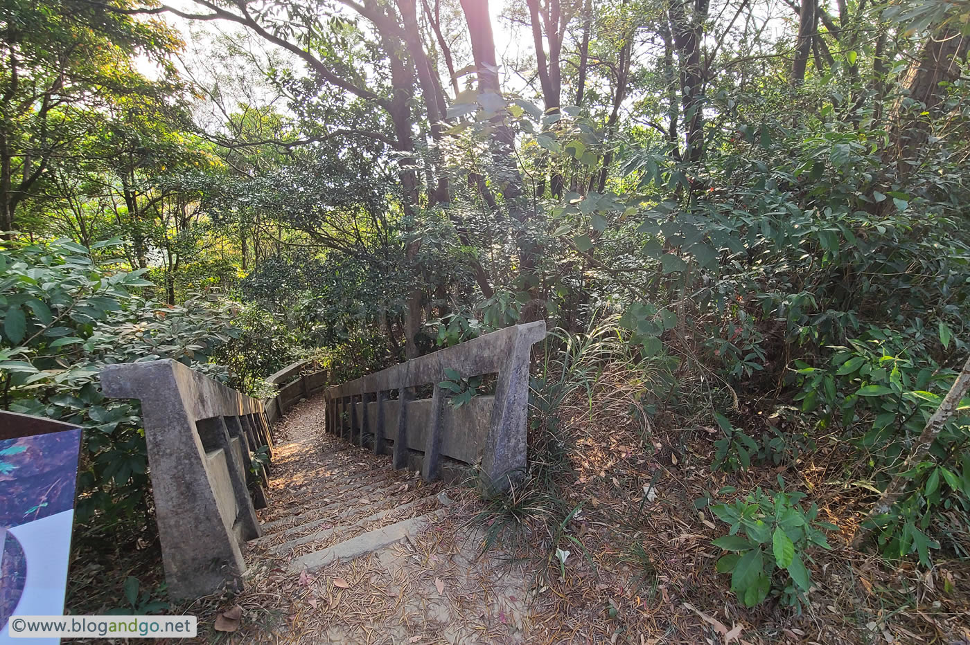 Pinewood Battery - To The Latrines